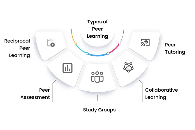 Types of Peer Learning